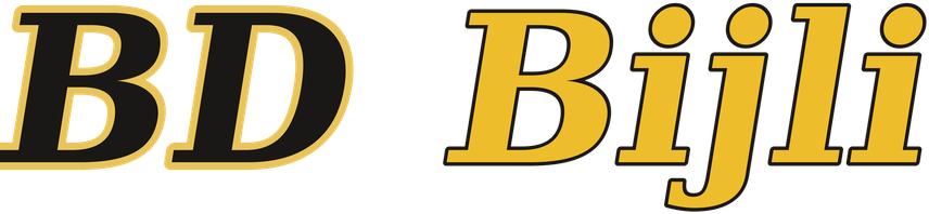 BD Bijli logo